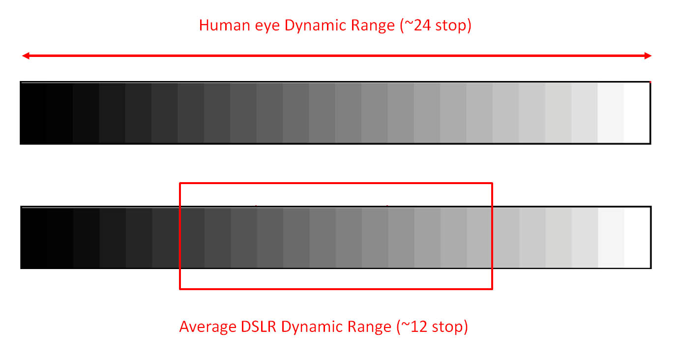 Dynamic Range about eyes and sensor