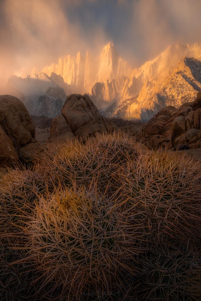 Prickly Taken in Alabama Hills, U.S. With NiSi GND (3 Stops)